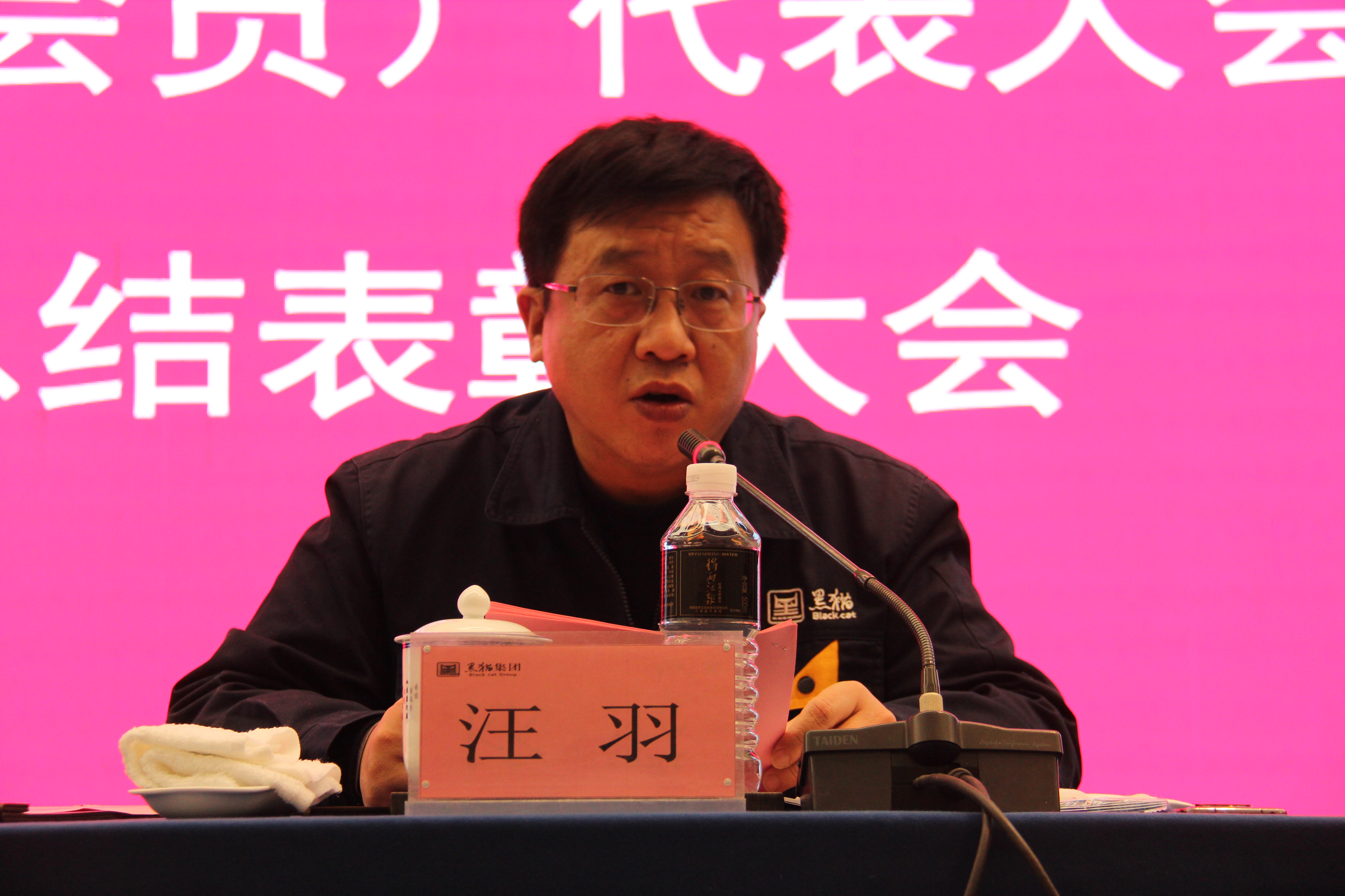 黑貓集團黨委副書記、總經(jīng)理汪羽發(fā)言 (2).JPG